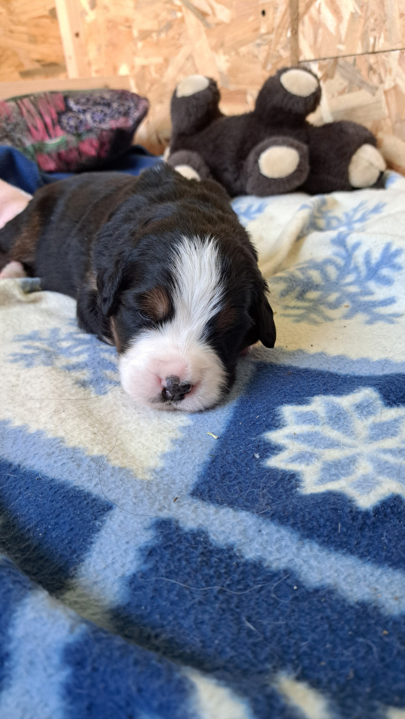 2 semaines pour notre boubou