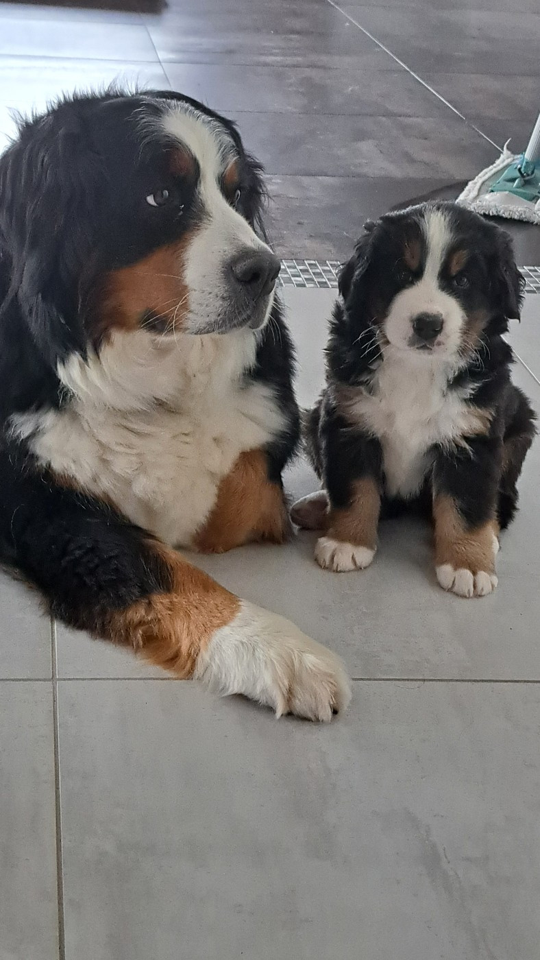 5 semaines pour notre adorable loulou