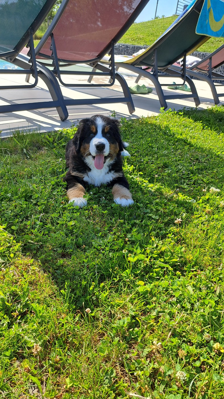 Suite à un désistement notre boubou attend sa famille